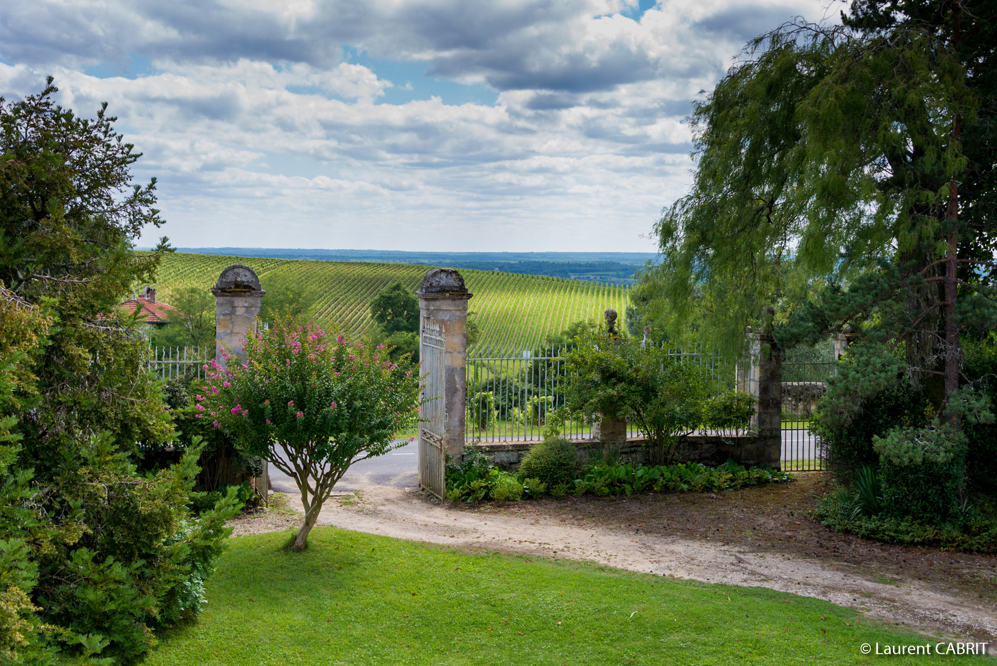 Jardin avec magnifique vue sur les vignes - [Location Langoiran Bordaux Ligassonne]